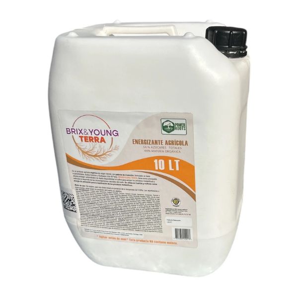 BRIX AND YOUNG TERRA